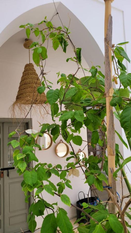 Riad Nohad Marrakech 马拉喀什 外观 照片